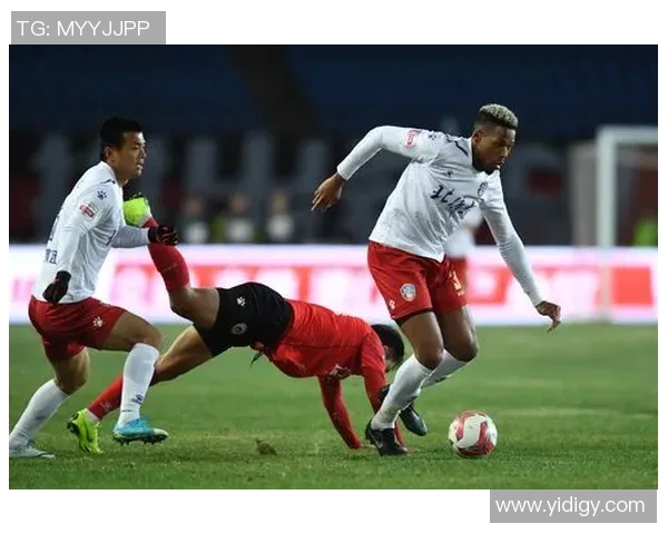 新疆雪豹纳欢迎战辽宁沈阳宏运全力争胜展现足球激情与实力对决